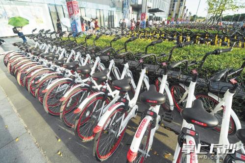 昨日下午，在開(kāi)福區(qū)萬(wàn)達(dá)廣場(chǎng)，成片的共享單車(chē)停放在廣場(chǎng)前坪。 長(zhǎng)沙晚報(bào)記者 黃啟晴 攝