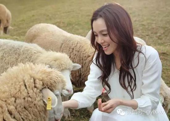 明星旅行糗事一籮筐 總有一個萌到你！