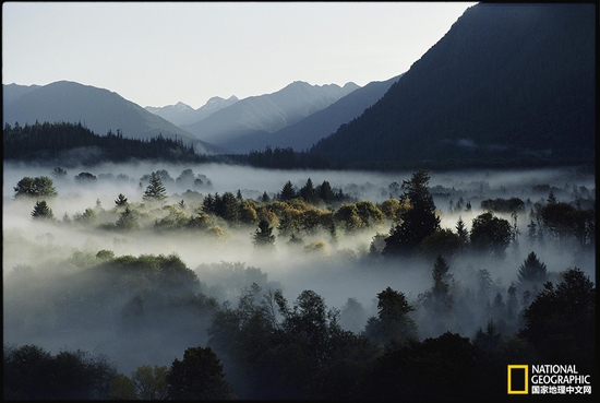 奧林匹克國家公園，華盛頓州攝影：Sam Abell，國家地理創(chuàng)意版