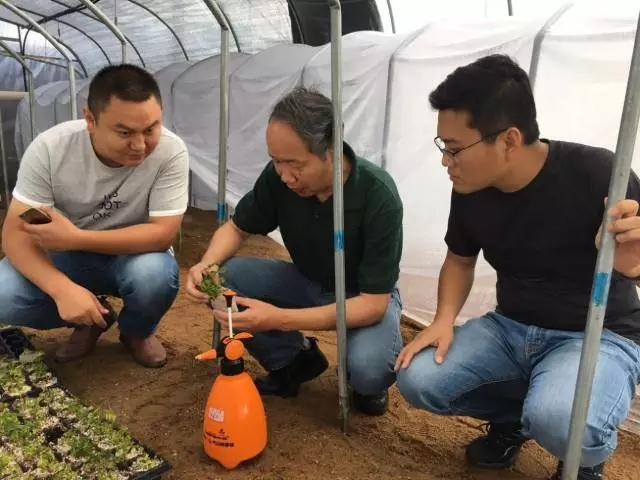 中國(guó)農(nóng)科院鄭州果樹(shù)研究所助理李好先研究員（右一）