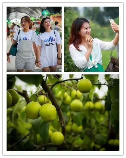 美女與香梨，你更愛哪一個(gè)？！