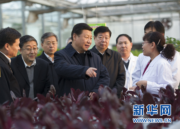  27日下午，習(xí)近平在山東省農(nóng)業(yè)科學(xué)院智能化溫室了解農(nóng)業(yè)科技創(chuàng)新情況。