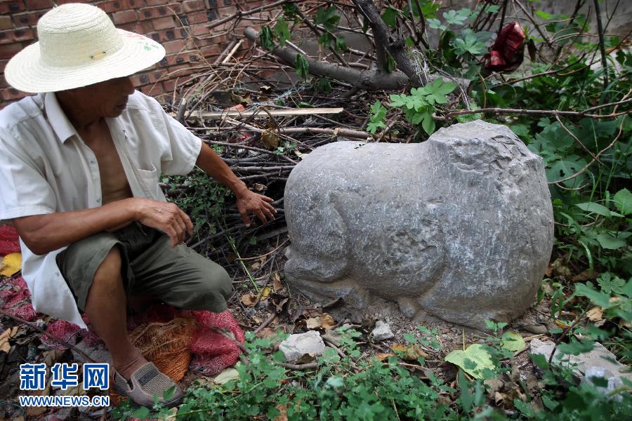 朝陽鎮(zhèn)后李村業(yè)余文保隊(duì)員，今年65歲的李連堂在上世紀(jì)平整土地時候，從地里挖出一個石羊殘身，至今仍放在