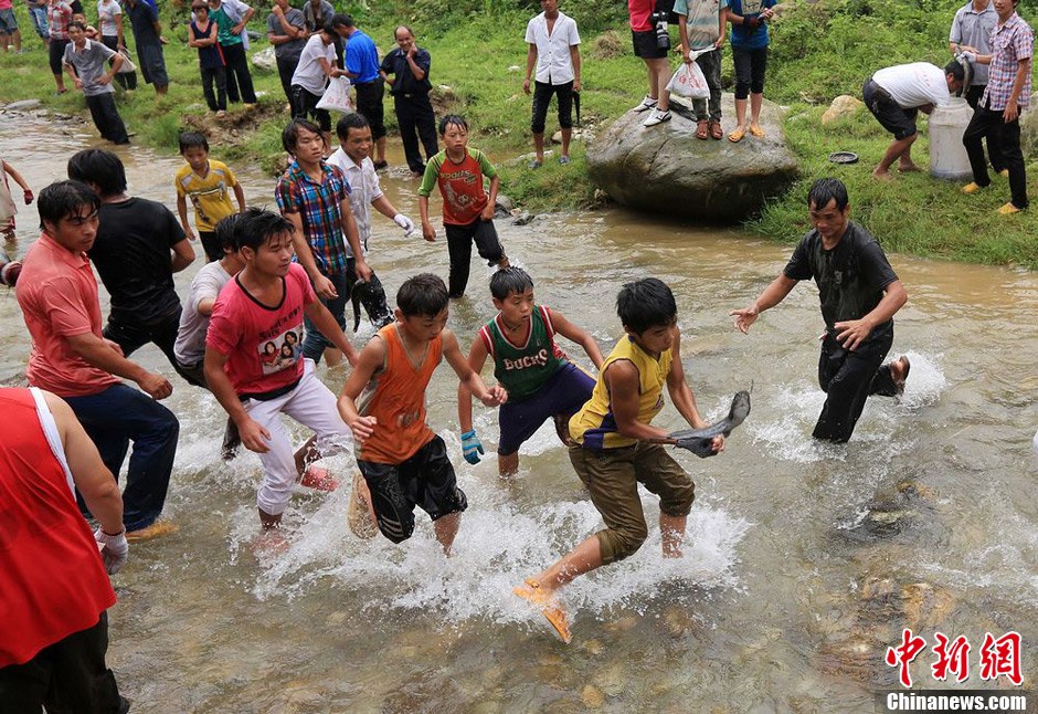7月9日，村民在小河里摸魚(yú)搶魚(yú)。譚凱興 攝