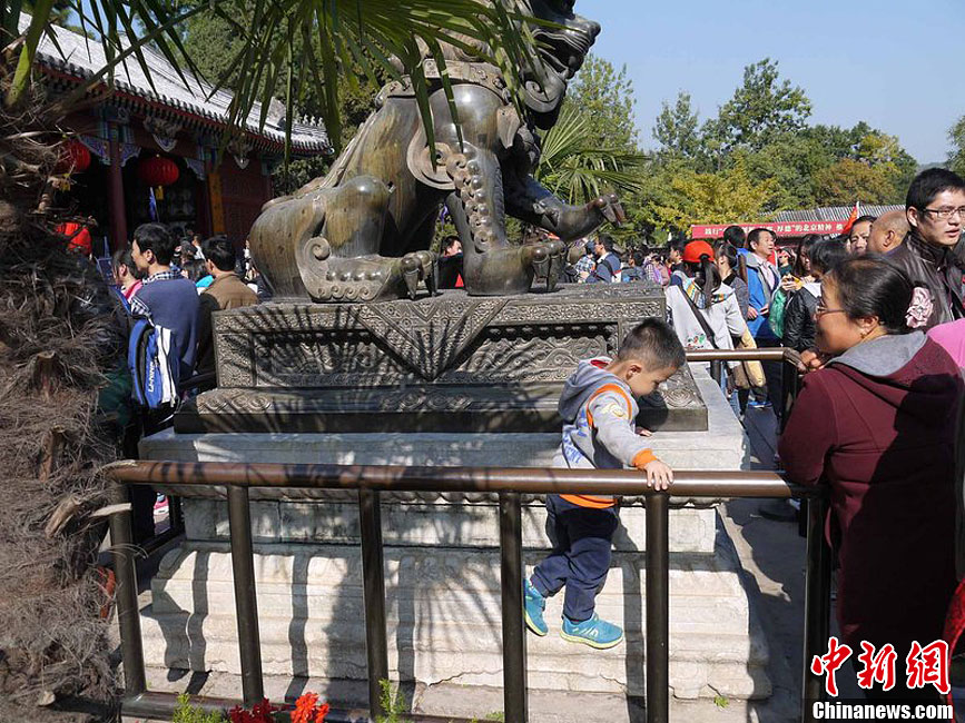 10月26日上午10點(diǎn)多，北京香山路賞紅客摩肩接踵