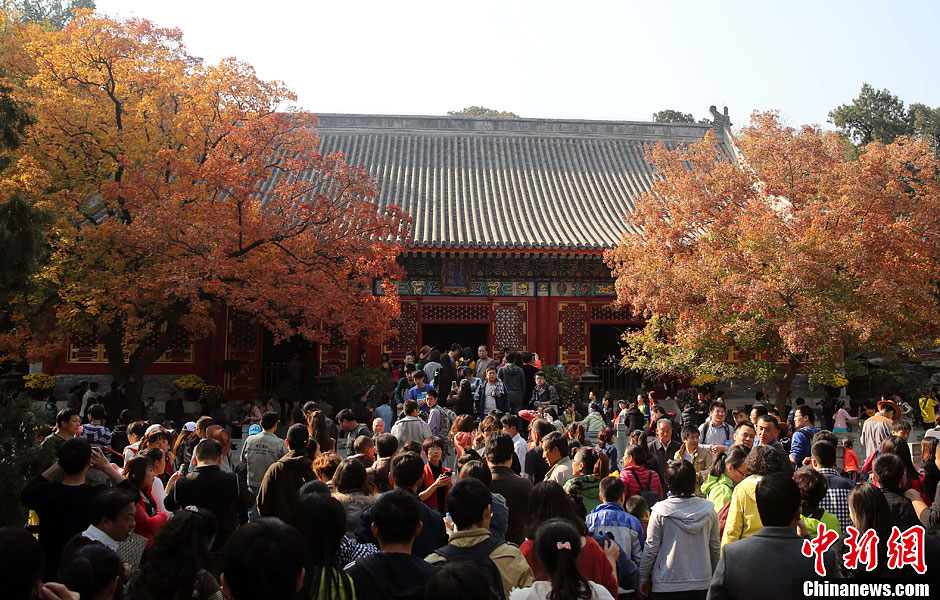 　10月26日，北京香山公園內(nèi)游客摩肩接踵。
