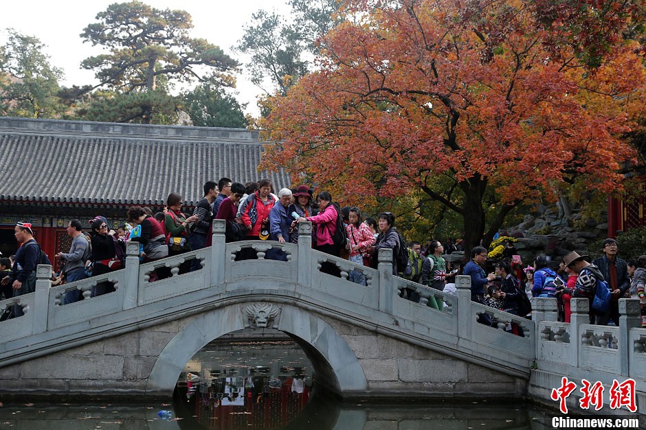 　10月26日，北京香山公園內(nèi)游客摩肩接踵。