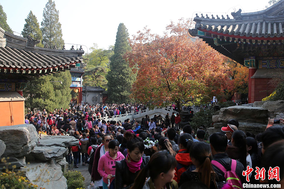 　10月26日，北京香山公園內(nèi)游客摩肩接踵。