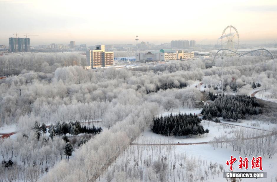 12月10日,受降溫天氣影響,黑河市黑龍江江畔出現(xiàn)綿延數(shù)公里的霧凇景觀。