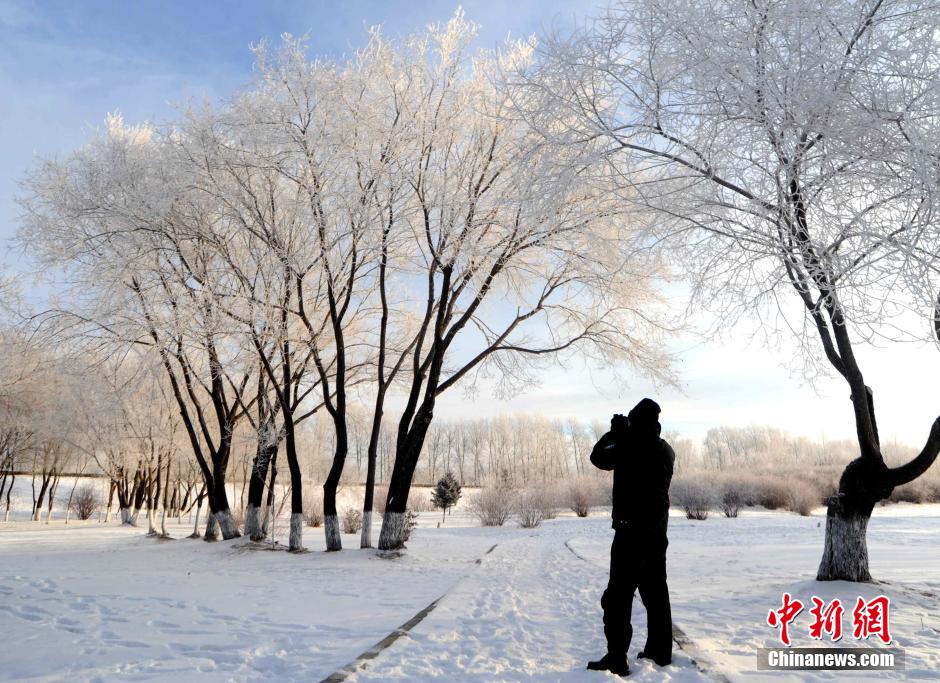 12月10日,受降溫天氣影響,黑河市黑龍江江畔出現(xiàn)綿延數(shù)公里的霧凇景觀。