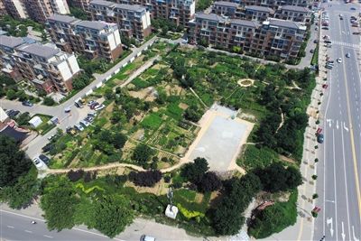 鄭州公園變菜地 鄭州公園變菜地