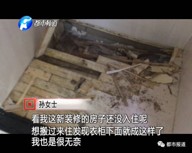 蟻族大軍入侵！十幾萬裝修的新家被“吃掉”