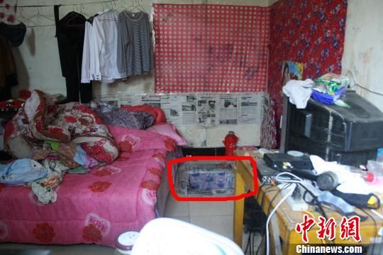 圖上紅圈內(nèi)為嫌犯所挖地窖入口。 吳佳蔚 攝