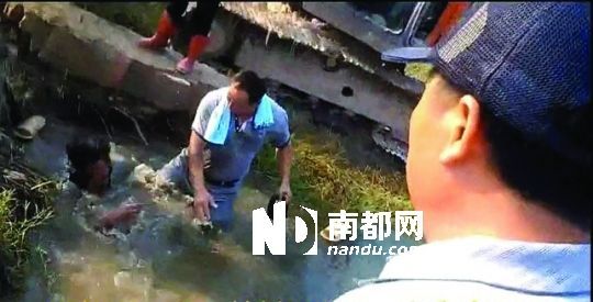 男子沒入水塘后試圖反抗，遭戴黑帽男子毆打。視頻截圖