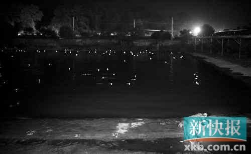 昨日，西湖村鱷魚養(yǎng)殖場已修復(fù)圍欄。