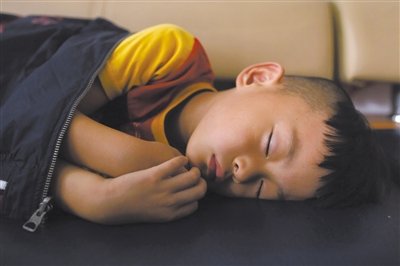 9月6日，等待錄制節(jié)目的多多躺在沙發(fā)上熟睡。新京報(bào)記者 侯少卿 攝