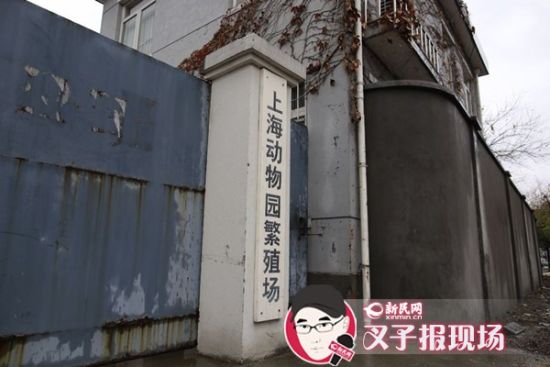 圖說：新民網(wǎng)記者趕到時(shí)，上海動(dòng)物園繁殖場大門緊閉。新民網(wǎng) 記者 蕭君瑋 攝