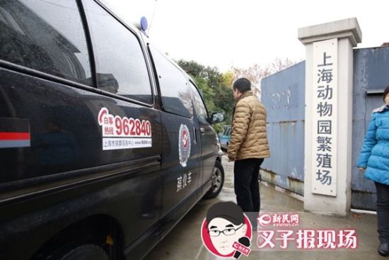 殯葬車到達(dá)現(xiàn)場。新民網(wǎng) 記者 蕭君瑋 攝