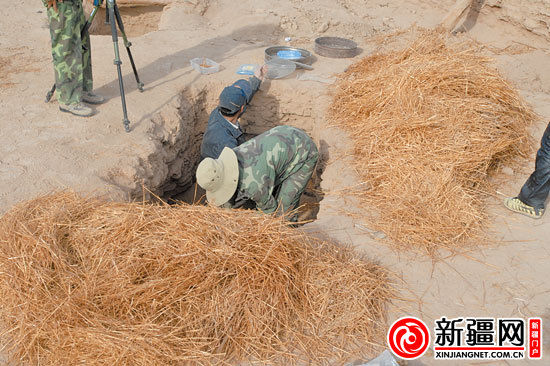 考古人員正在清理麥稈。（圖由中國科學(xué)院人文學(xué)院科技室與科技考古系提供）