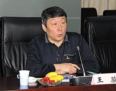 國(guó)家能源局新能源和可再生能源司司長(zhǎng)王駿。