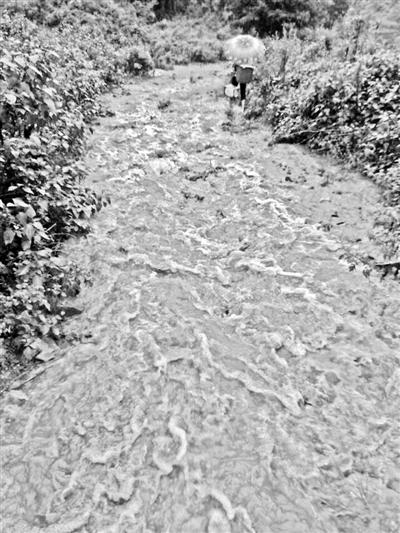 梅子回家的山道，晴天是路，雨天是河