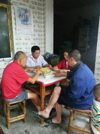 掃水掃不及，胥家鎮(zhèn)柏河村的居民干脆打起了麻將。