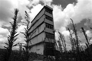這幢5層的“片片樓”周圍已是一片拆遷后的廢墟，左邊的一堵墻上，不少鋼筋裸露在外面 圖片來源：新華網