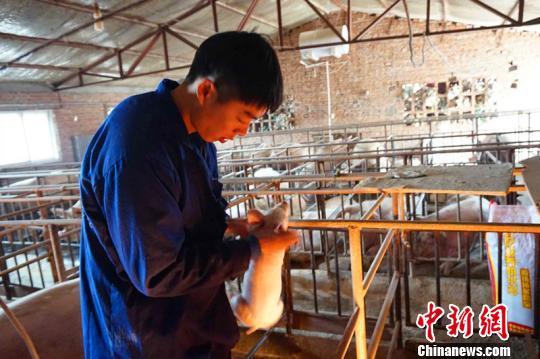 河北一小伙上山當“豬倌”8年 自稱“天蓬元帥” 河北一小伙上山當“豬倌”8年 自稱“天蓬元帥”