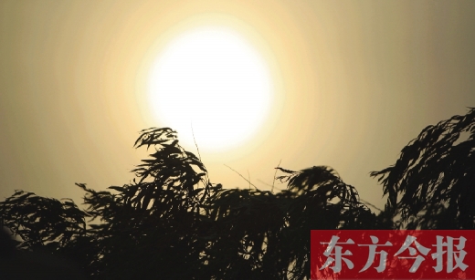 五月十四日，傍晚時分，鄭州的天空再次被沙塵遮蓋