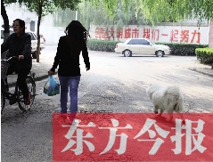 啟明一巷內(nèi)，一名女子帶著狗狗去買菜。狗隨地大小便，狗的主人未制止