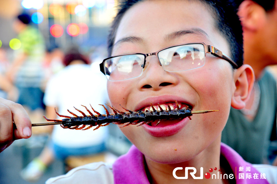 昆蟲(chóng)宴亮相沈陽(yáng) 蜘蛛蜈蚣讓人咋舌