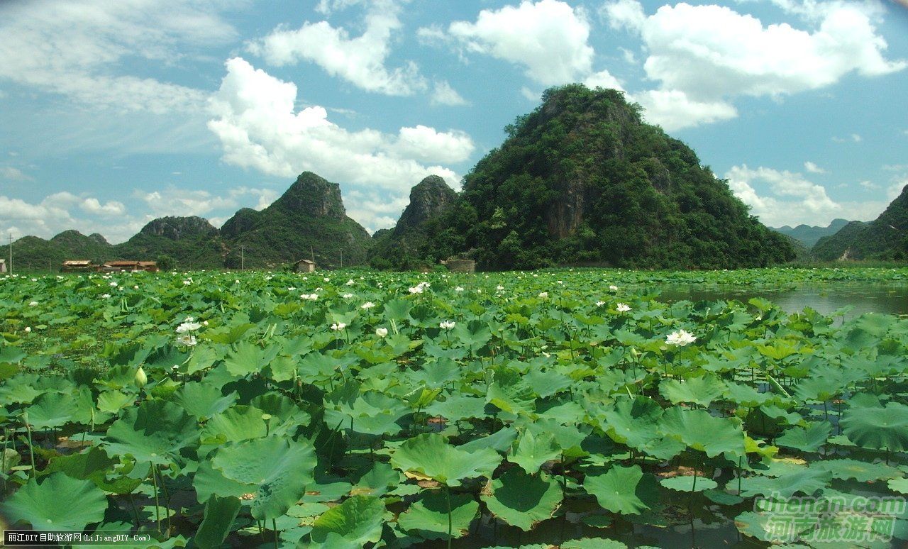 爸爸去哪兒？親密接觸荷花仙子
