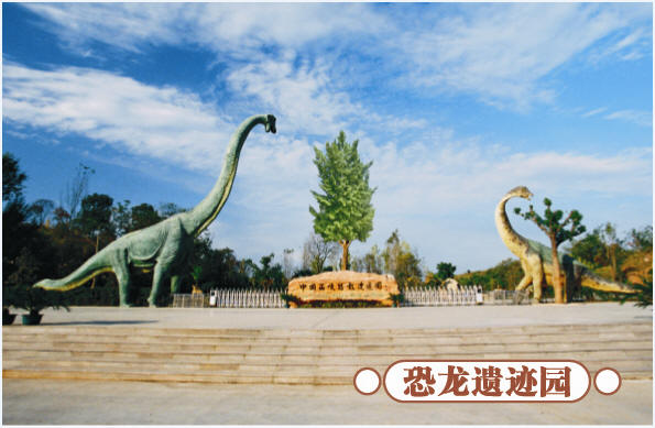 圣誕去哪兒？省內(nèi)歡樂地推薦