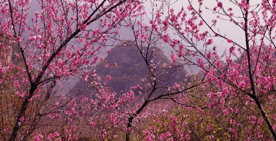 撿垃圾換玫瑰 女人節(jié) 愛在神農(nóng)山！