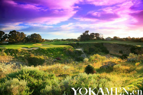 與袋鼠一起揮桿 西澳珀斯高爾夫魅力之旅 與袋鼠一起揮桿 西澳珀斯高爾夫魅力之旅