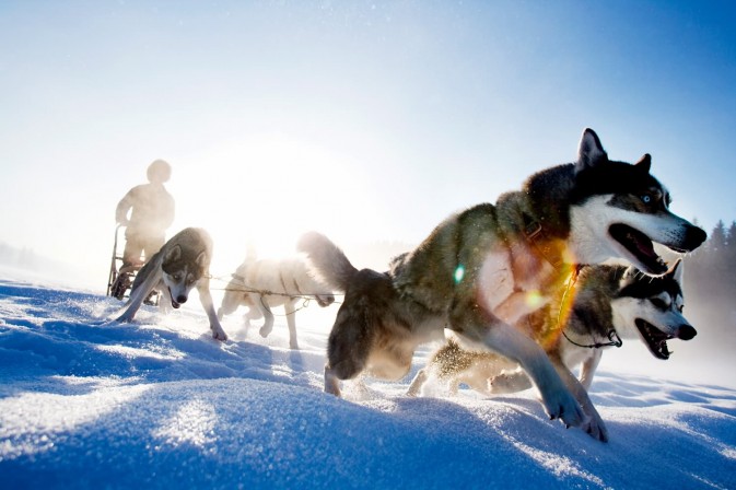 冬季貝加爾,適合享受冰上運(yùn)動(dòng),狗拉雪橇、雪上摩托車、雪地徒步等都是不錯(cuò)的選擇 F5.6,1/115秒