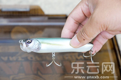 　　又稱擬餌釣魚,起源于歐洲,國(guó)內(nèi)翻譯為“路亞”。