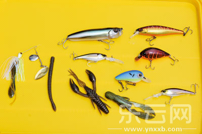　　又稱擬餌釣魚,起源于歐洲,國(guó)內(nèi)翻譯為“路亞”。