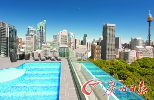 酒店屋頂游泳池俯瞰公園美景。