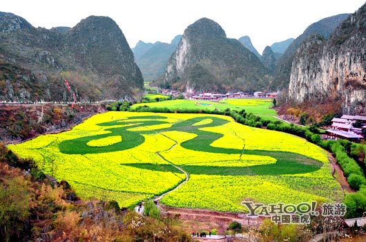 　　貴州油菜花景自以“立體多層,起伏跌宕”的油菜花景觀著稱。(圖片來(lái)源:CFP)
