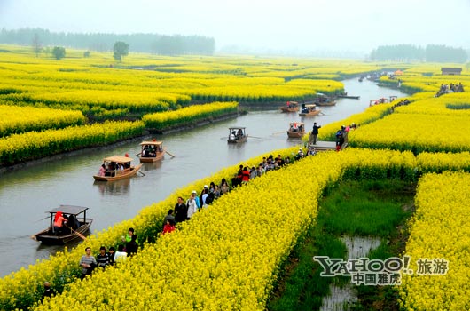 　　興化的油菜花最讓人心醉,因?yàn)闆](méi)有一個(gè)地方能把油菜花和水景結(jié)合得如此到位。(圖片來(lái)源:CFP)