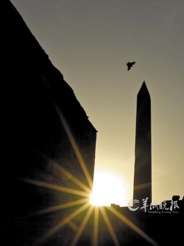 　　埃及盧克索市卡納克神廟,夕陽下鳥兒飛過方尖碑。才揚(yáng) 攝