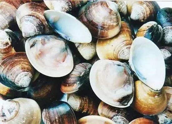 秋季最適合吃的海鮮是這10種 你吃對了嗎？