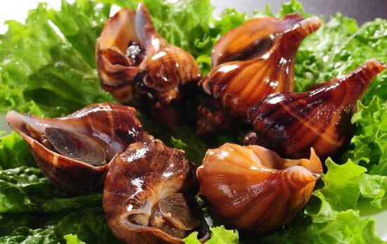 秋季最適合吃的海鮮是這10種 你吃對了嗎？