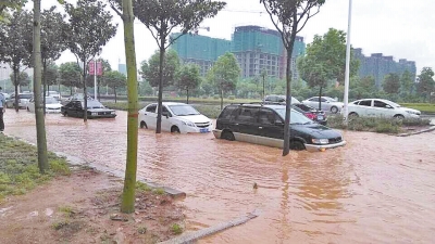 昨日，信陽突降暴雨，路面積水已淹沒輪胎。首席記者 何正權(quán) 通訊員 楊小燕 攝影