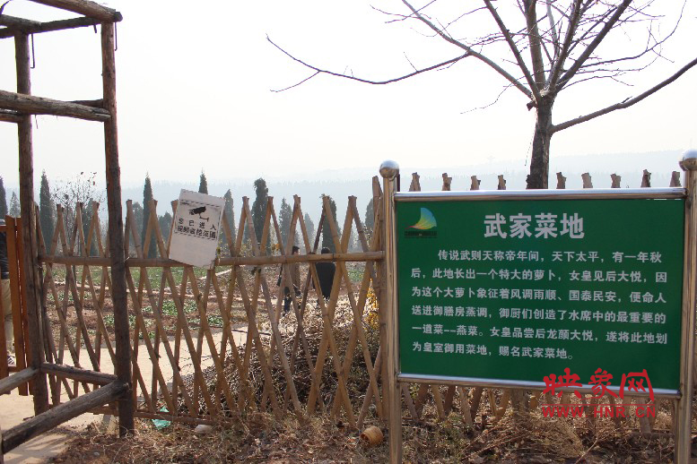 武家菜地就是這，據(jù)說里面有個(gè)特大的蘿卜