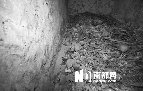 　5月29日，在以色列特拉維夫市雅法地區(qū)，一處集體墳?zāi)贡话l(fā)現(xiàn)。