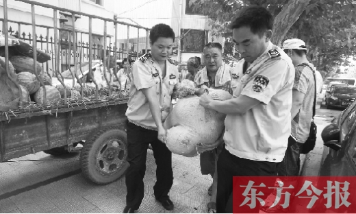 昨日，鄭州金水區(qū)執(zhí)法局的執(zhí)法隊(duì)員捐錢買瓜，替瓜農(nóng)解憂