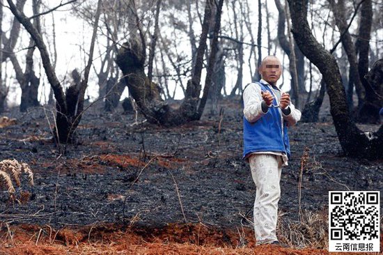 山林被燒得滿目瘡痍。