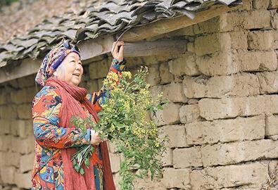 公式“時尚奶奶”的賞花照，收獲了好多人的點贊。 受訪者供圖